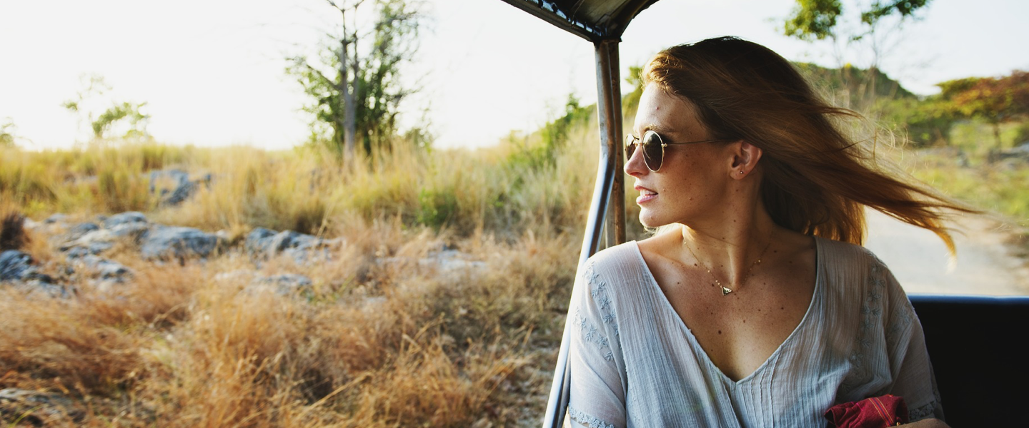 travelerpic2.png
